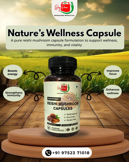 Reishi Mushroom Extract 60 Capsules, 50 g | 100% Natural | Gmo Free | Gluten Free